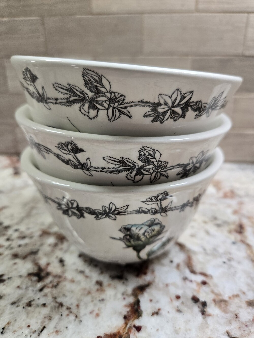 Edie Rose Home Bloom Collection Rachel Bilson Three Desert Bowls